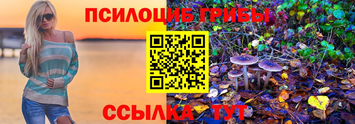 Псилоцибиновые грибы Magic Shrooms Родники
