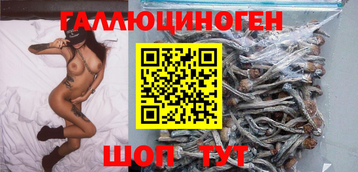 Родники  Псилоцибиновые грибы GOLDEN TEACHER  Галлюциногенные грибы прущие грибы  Вход с VPN 